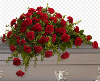 Carnation Casket