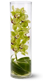 Submerged Orchid
