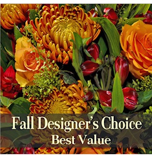 Fall Design's Choice