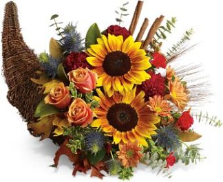 Giving Thanks