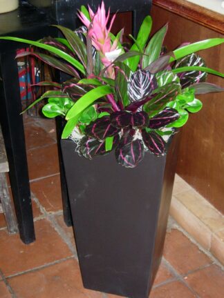 Contemporary Planter