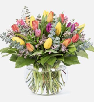 Tulip Delight