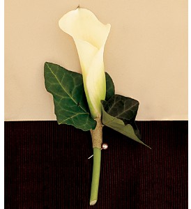 Boutonniere - Calla Lily