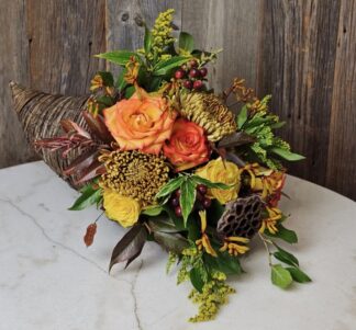 Cornucopia