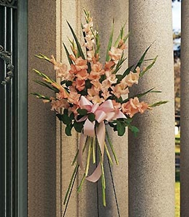 Spray of Gladiolis