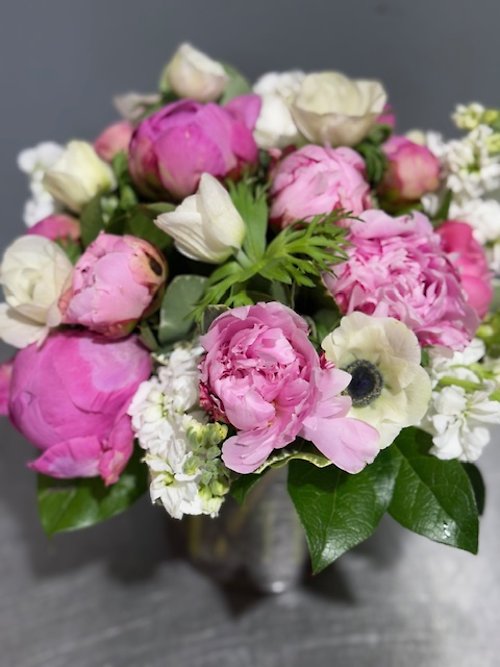 Pink Peony Dream