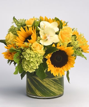 Sunny Orchids