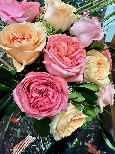 David Austin Garden Roses