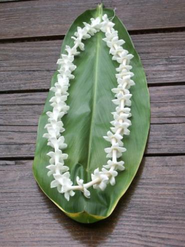 Lei - Stephanotis