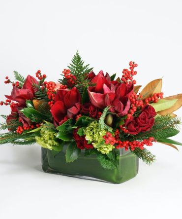 Amaryllis Centerpiece