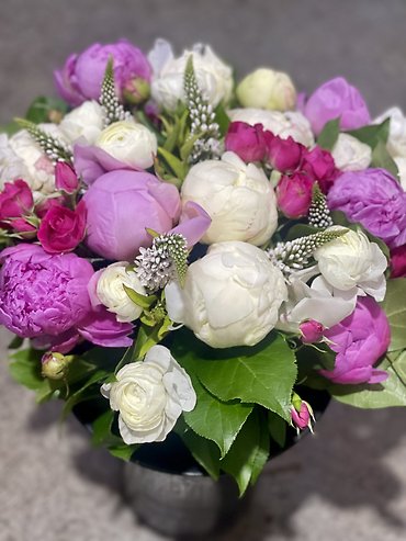 Wow Peonies!