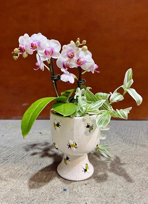 Busy Bee Petite Orchid