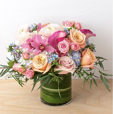 Welcome Spring