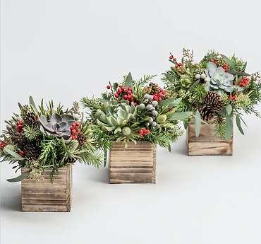 Evergreen Trio