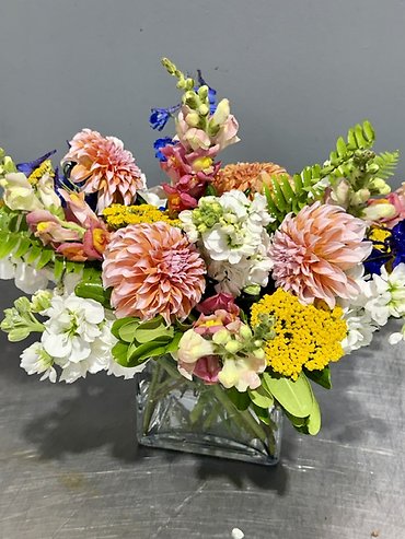 .Summer Meadow Dahlias