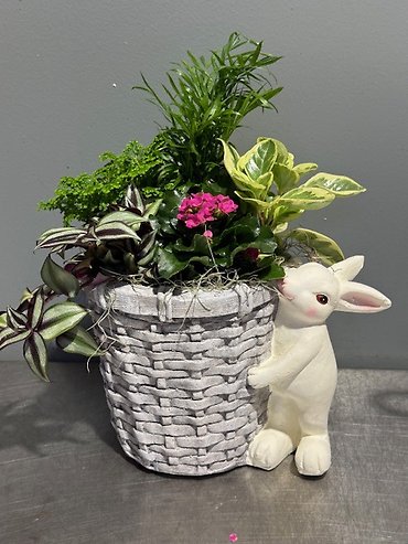 Spring Bunny Garden Basket Planter,