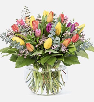 Tulip Delight