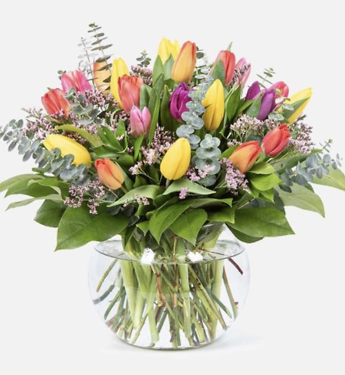 Tulip Delight