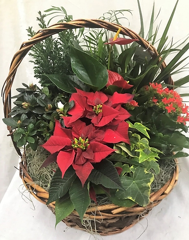 Christmas Eurogarden