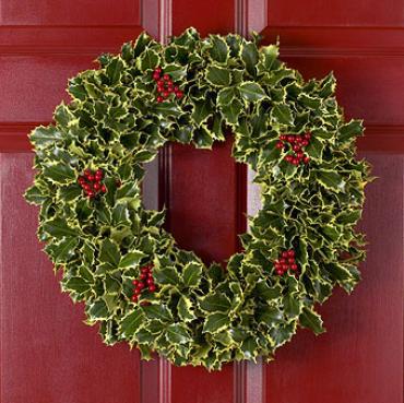 Holly Wreath