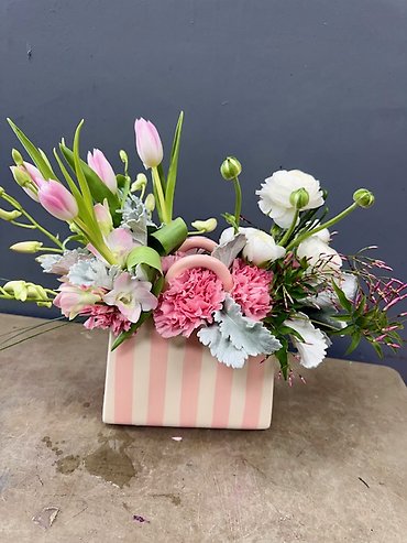 Her Strength & Grace