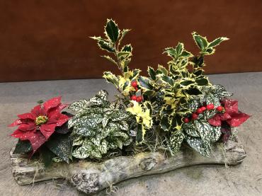 Yule Log Planter