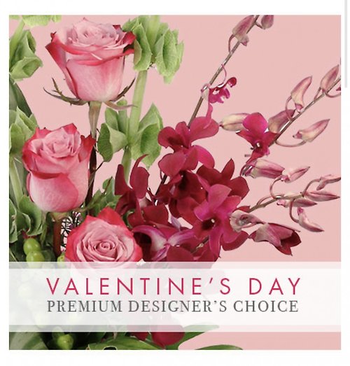 Premium Designer Choice