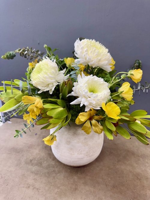 Lucky Leprechaun’s Garden