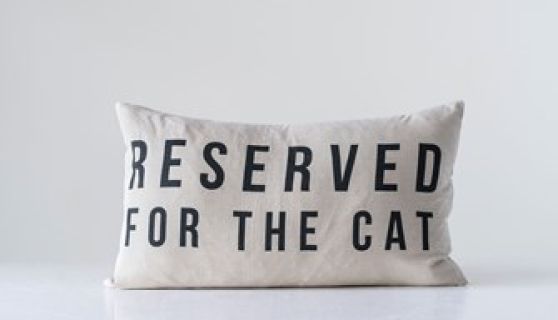 Cat Pillow