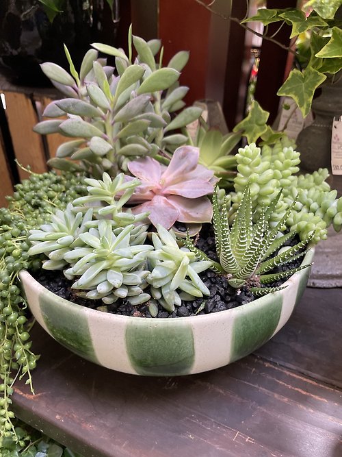 Retro Succulent Planter