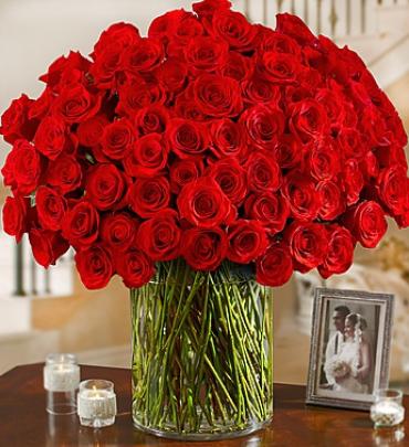 100 Equadorian Roses